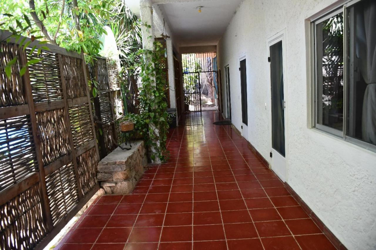 La Playita Hostal San José del Cabo Eksteriør bilde
