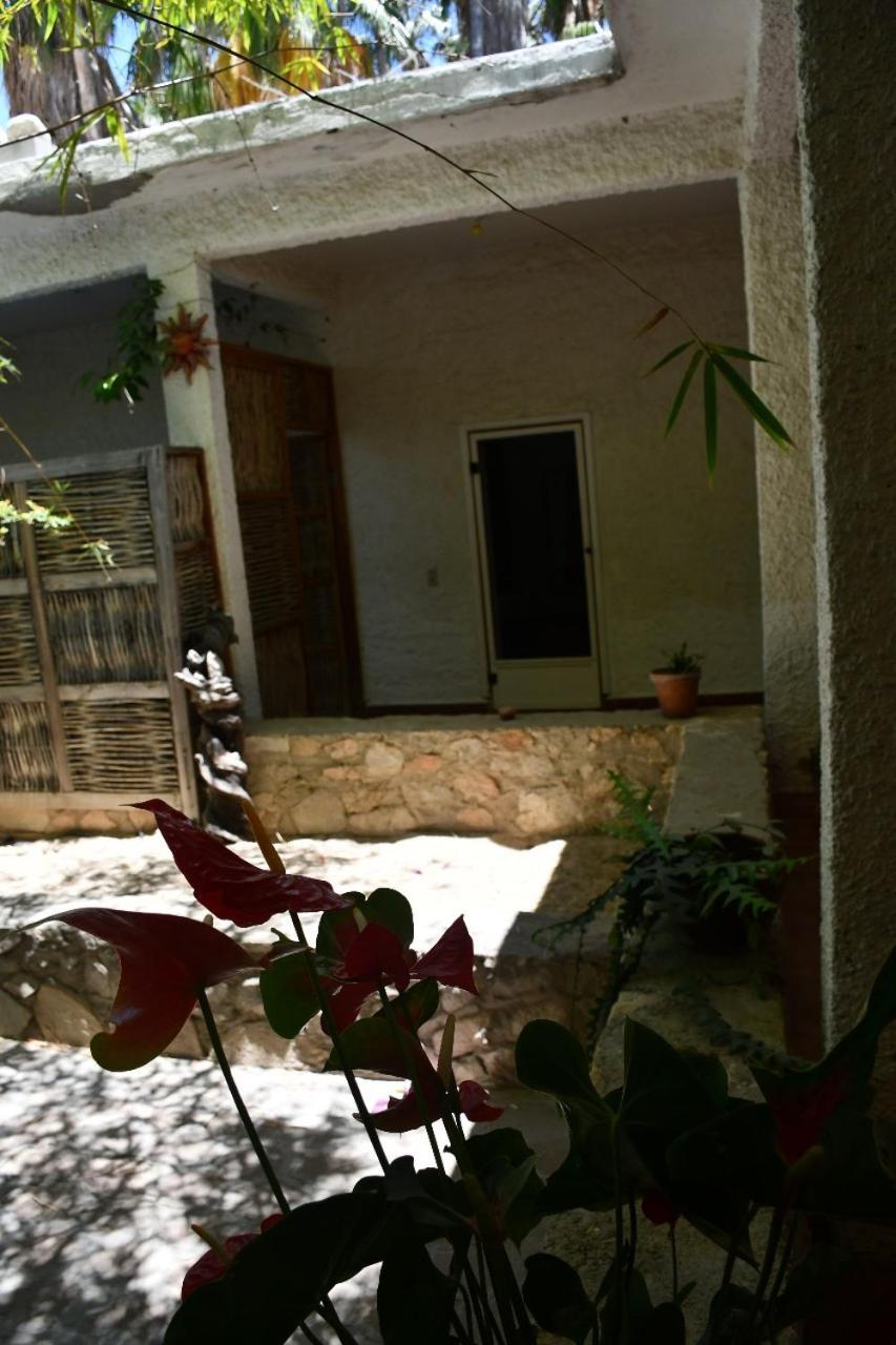 La Playita Hostal San José del Cabo Eksteriør bilde
