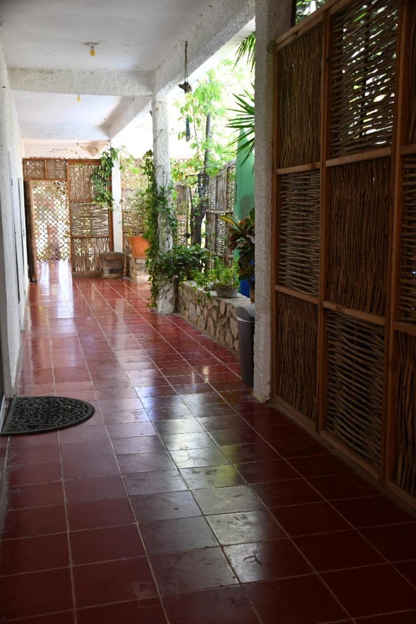 La Playita Hostal San José del Cabo Eksteriør bilde